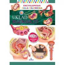 Encyklopedia ciaa czowieka Ukad rozrodczy