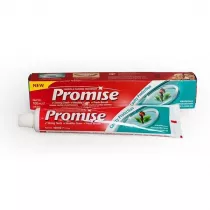 Dabur godzikowa pasta do zbw Promise 100 ml