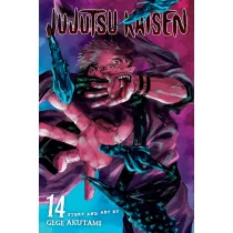 Jujutsu Kaisen. Vol. 14