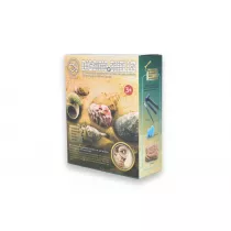 Muszle zestaw do kopania 129-28 Mz-Import