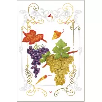 DaVinci Karnet B-BD 502 060 + koperta Winogrona 12x18 cm