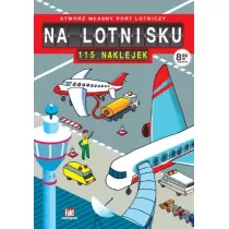 Na lotnisku