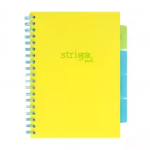 Koozeszyt Strigo B5 Project Book Neon ty w kratk