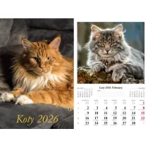 Kalendarz �cienny 2026 Koty