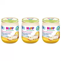 Hipp Moje niadanko Musli owocowe z jogurtem po 9. miesicu zestaw 3 x 160 g Bio