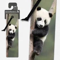 If Zak�adka 3D - Panda