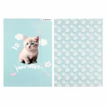 Starpak Teczka z gumk A4 Kitty