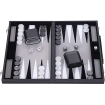 Backgammon 15`` Quint