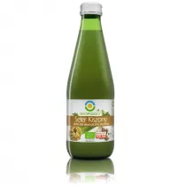 Bio Food Sok z selerw kiszonych 300 ml Bio