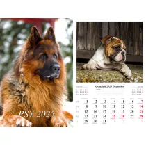 Kalendarz 2025 cienny Psy