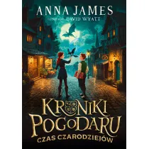 Kroniki Pogodaru. Czas czarodziej�w