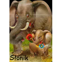 Sonik LIWONA