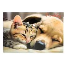 Panta Plast Koperta A4 PP na nap� z nadrukiem Friendship
