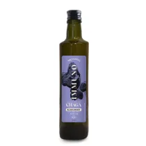 Shroomwell Suplement diety na odporno�� z chag� i czarn� porzeczk� w p�ynie 250 ml