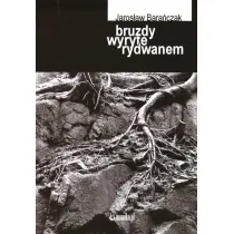 Bruzdy wyryte rydwanem