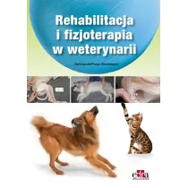 Rehabilitacja i fizjoterapia w weterynarii