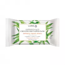 Luba Od�wie�aj�ce chusteczki nawil�ane Aloes 15 szt.
