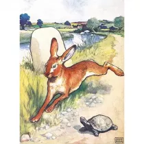 Museums & Galleries Karnet B6 z kopert� The Hare and the Tortoise