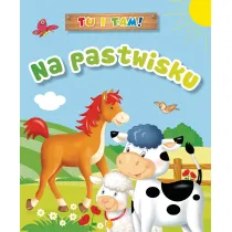 Tu i tam! Na pastwisku