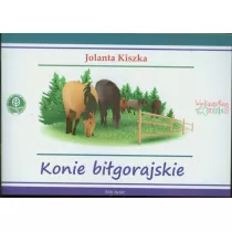 Konie bi�gorajskie