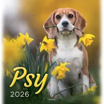 Kalendarz 2026 wieloplanszowy Psy