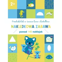 Przedszkolak w �wiecie barw i kszta�t�w 2+