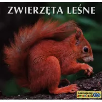 Poznajemy zwierzta - Zwierzta lene