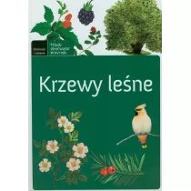 Krzewy lene. Mody obserwator przyrody