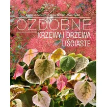 Ozdobne Krzewy i drzewa Liciaste