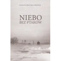 Niebo bez ptak�w