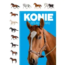 Atlas ras. Konie