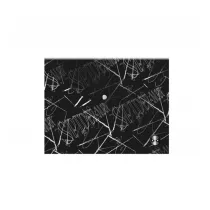 Coolpack Black Koperta na dokumenty PP A4 Disney 100 wzr 1