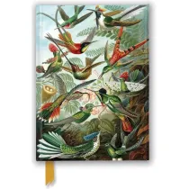 Flame Tree Notatnik A5 Kolibry Ernst Haeckel linia