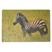 Adar Podk�adka na biurko piankowa zebra 60x40cm