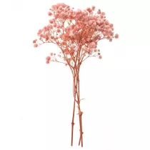 Dalprint Gipswka 4 gazki ok. 20cm light pink