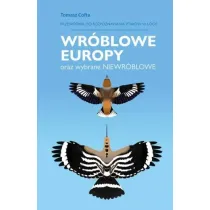 Wr�blowe Europy