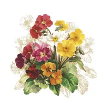 Serwetka  papierowa 3warstowa 33x33 kwiaty op20szt POL-MAK SDWI009701