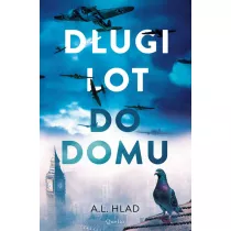 D�ugi lot do domu