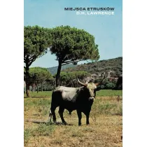 Miejsca Etrusk�w