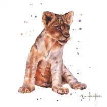 Museums & Galleries Karnet kwadrat ma�y z kopert� Lion Cub