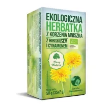 Dary Natury Herbatka z korzenia mniszka z hibiskusem i cynamonem 25 x 2 g Bio