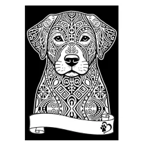 Kolorowanka Welwetowa A4 Labrador