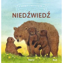 Nied�wied�. Dzikie zwierz�ta w naturze