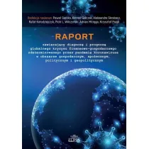 Raport zawieraj�cy diagnoz� i prognoz�..
