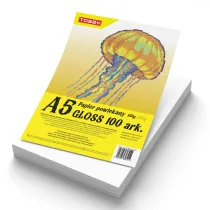 Papier A5 powlekany kredowany gloss 100 ark.150g