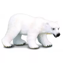 Nied�wied� polarny