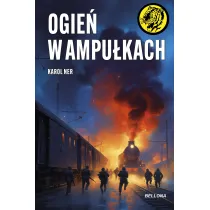 Ogie� w ampu�kach
