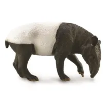 Malayan Tapir