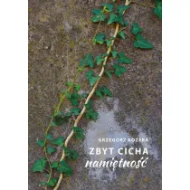 Zbyt cicha nami�tno��