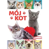 M�j kot